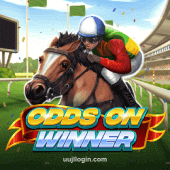 Odds On Winner Game Image